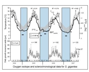 Oxygen isotope variation