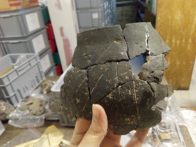 Contribution of food residues preserved in archaeological ceramics to the understanding of animal&nbsp;husbandry.